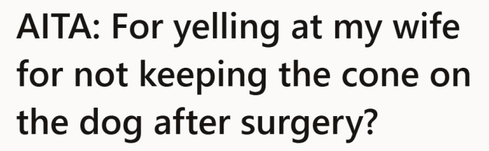 A disagreement over pet care that starts small but carries real weight once emotions and responsibility collide.