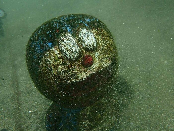12. Apparently This Submerged Little Guy Was Found After 20 Years