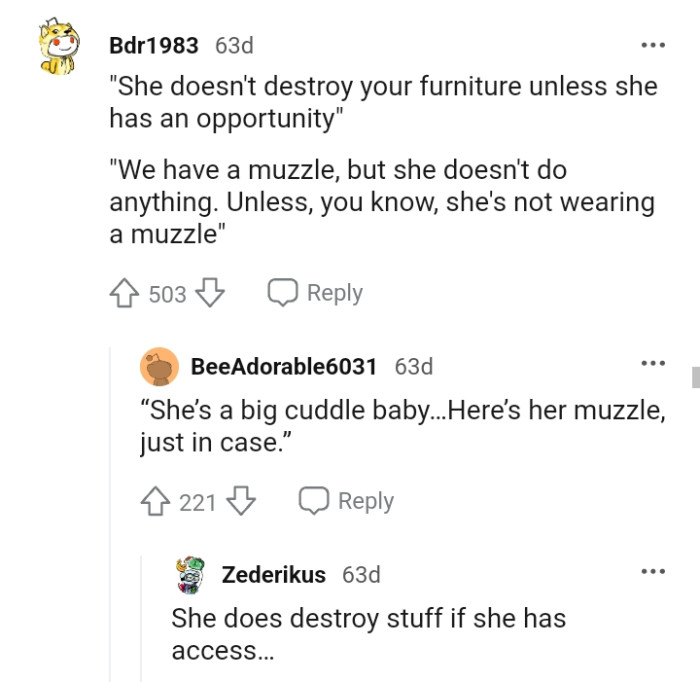 They're saying the dog destroys stuff when it has access to it