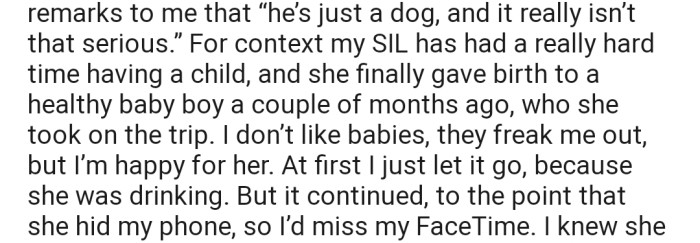 OP's SIL went as far as hiding her phone so that she would miss her regular FaceTime with her dog
