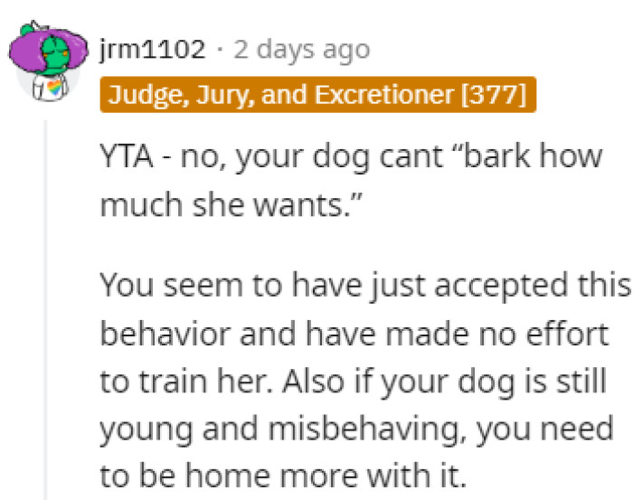 Spend more time with the dog