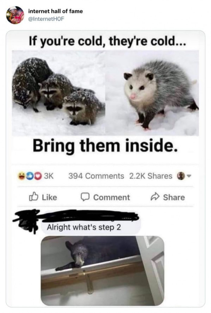 22. Where's the Whole Manual?