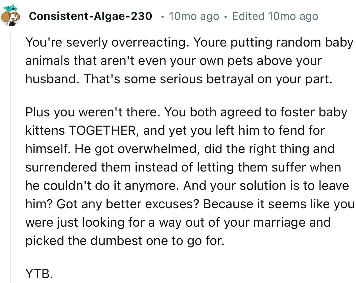 “You're Severely Overreacting. You're Putting Random Baby Animals That Aren't Even Your Own Pets Above Your Husband.”