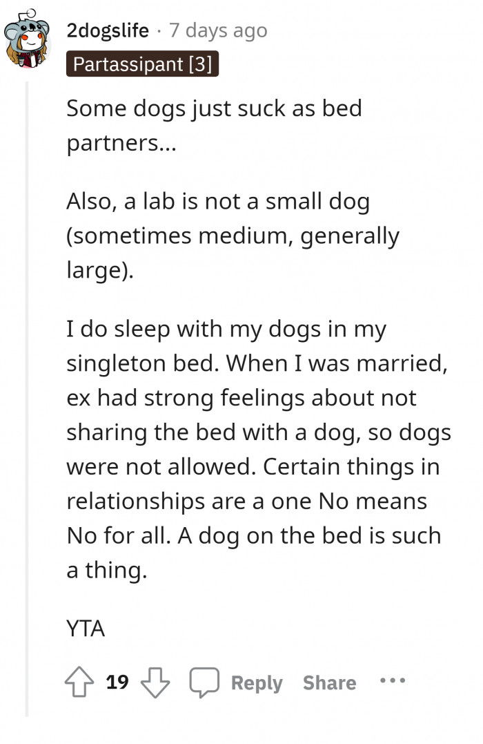 Putting rules for dogs, such as not sleeping in the bed, is easy if you train them and get some treats.