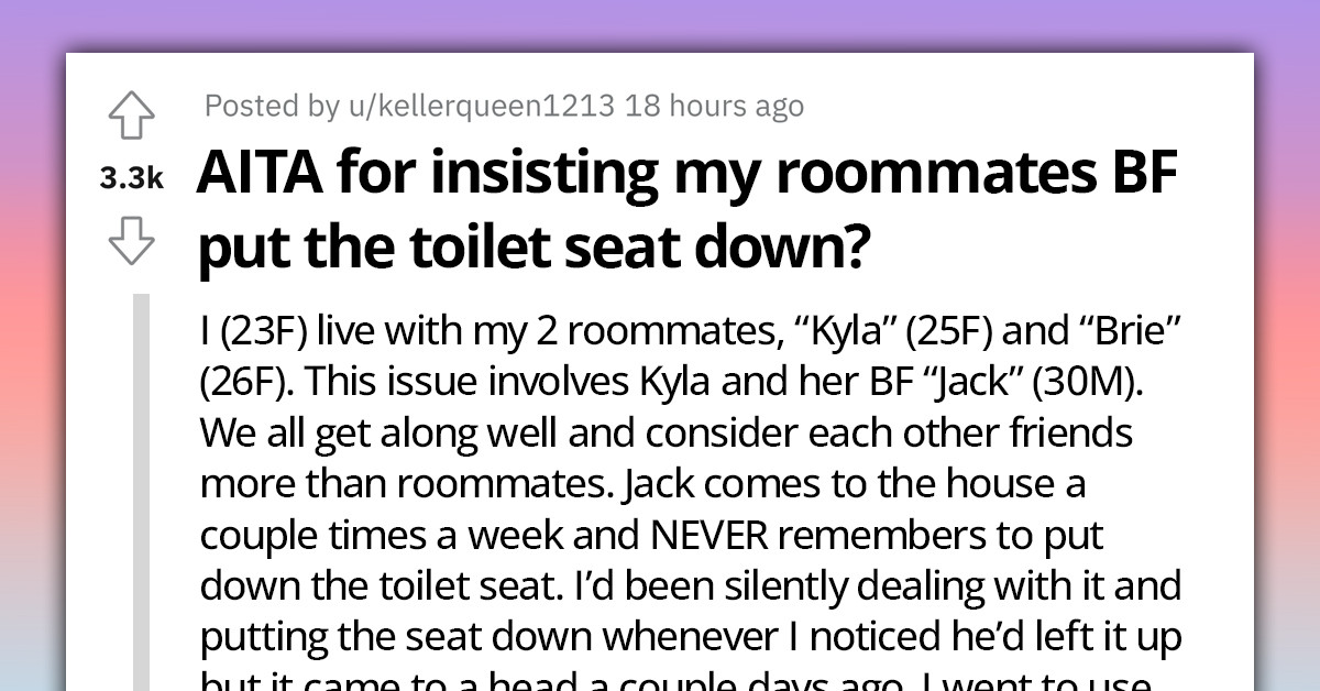 Lady Gets Into An Argument With Her Roommate Because Her Boyfriend Has A Habit Of Always Forgetting To Put The Toilet Seat Down