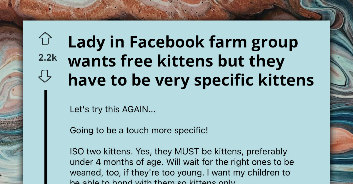 Woman On The Hunt For Free Kittens Leaves Everyone Speechless With Her Unique List Of ‘Acceptable’ Traits