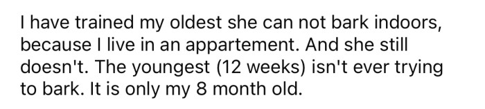 The OP says her dogs are trained not to bark inside because she lives in an apartment.