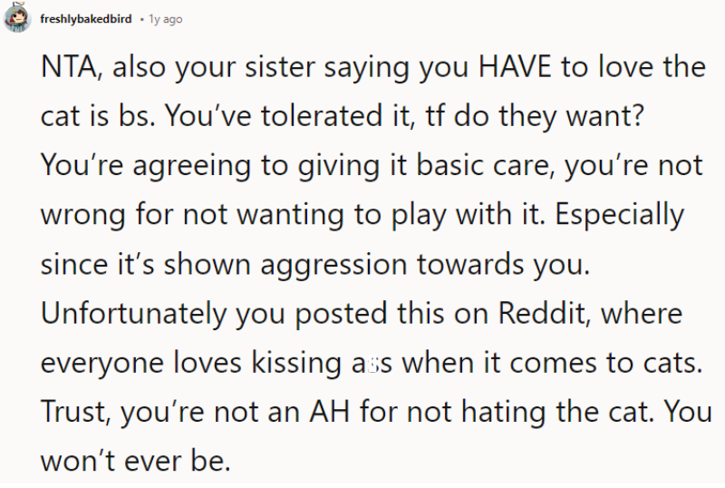 Trust me, you’re not an AH for not hating the cat. You won’t ever be.