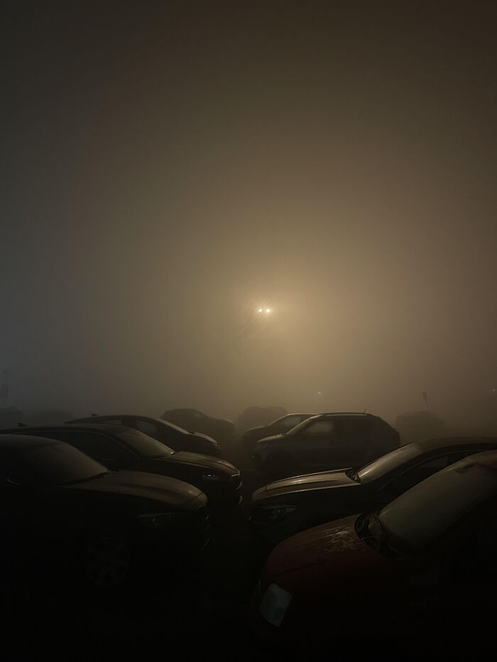 "So I Was Searching For My Car And Suddenly"