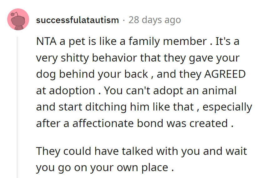 Oops, looks like they mistook Nala for a boomerang. Time for a serious sit-down or maybe a timeout in the doghouse for them.