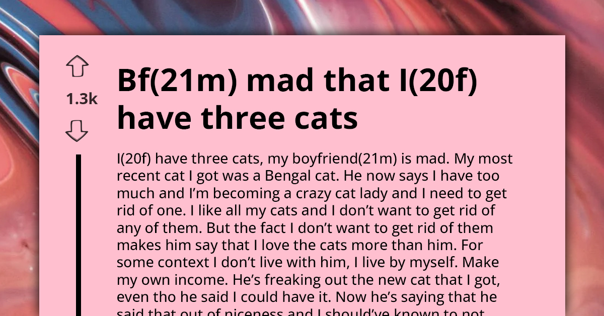 “I Love My Cats And Don't Want To Give Them Away,” Woman Cries Out As Controlling BF Says She Is Turning Into Crazy Cat Lady