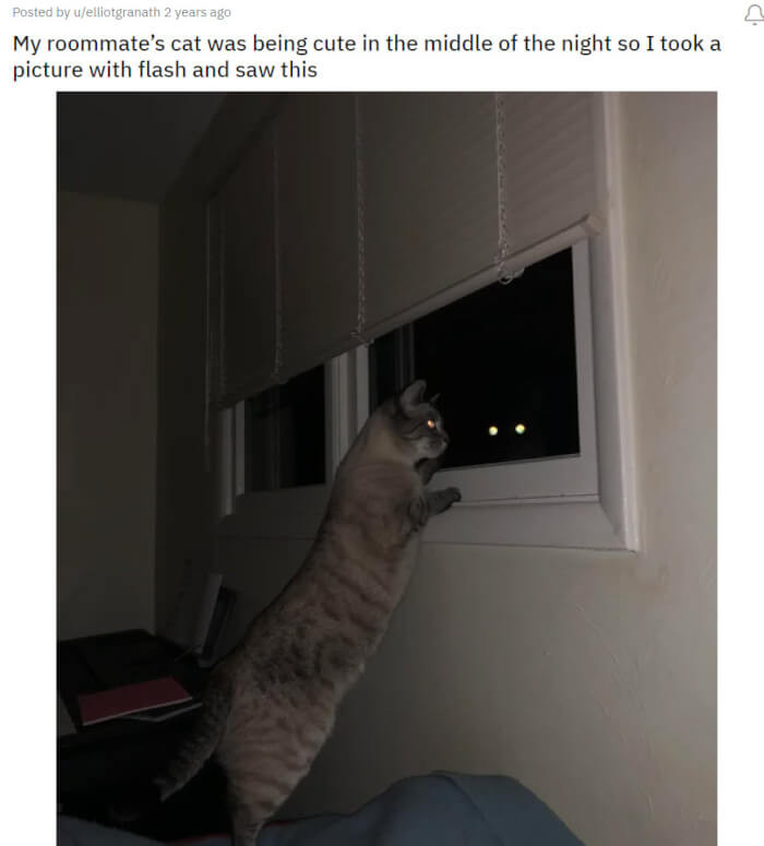 14. You should know never to take a photo with flash at night because you probably won't like the results.