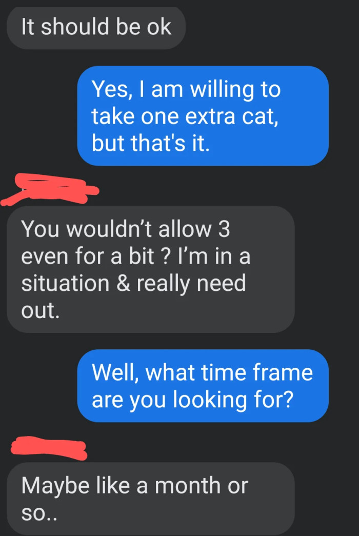 OP is willing to allow just one extra cat