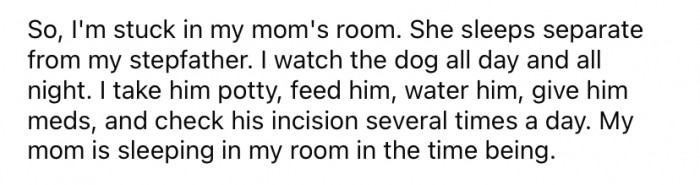 Recently, OP had to take two weeks off school to look after her dog, who had just been neutered.