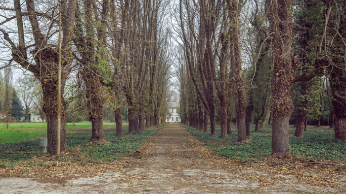 7. This path leading up to a madhouse honestly looks terrifying.