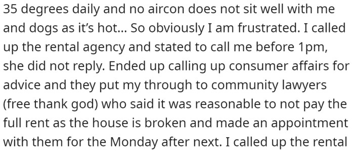 With 35 degrees and two dogs, the situation wasn't comfortable for them at all: