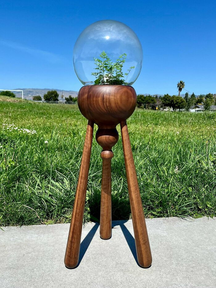 "Terrarium Stand I Made Out Of Walnut"