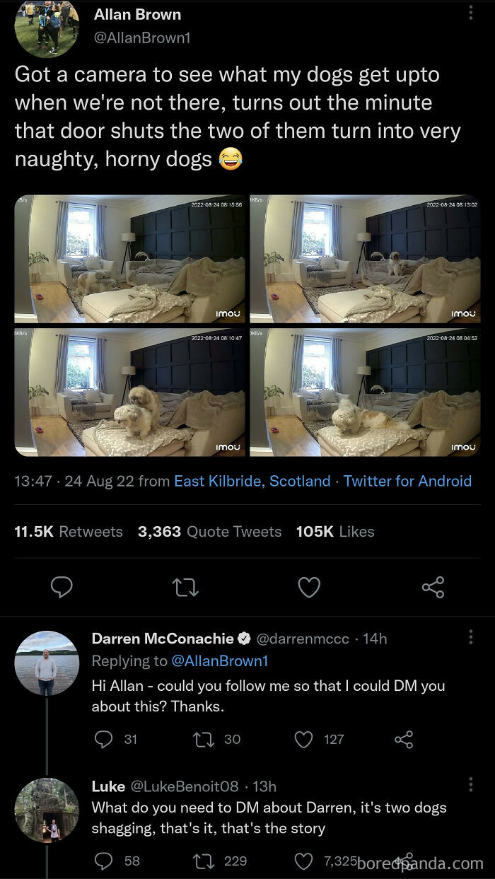 24. That's The Story