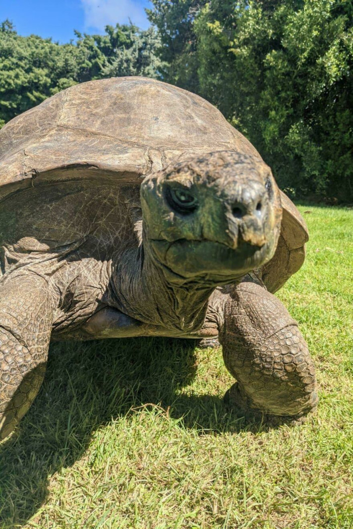 "Say Hello to Jonathan; He Was Born in 1832 and Is 192 Years Old"