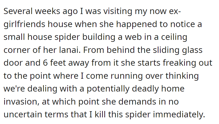 At his now-ex's house, OP saw her freak out over a harmless spider. Despite there being no threat, she demanded its immediate removal.