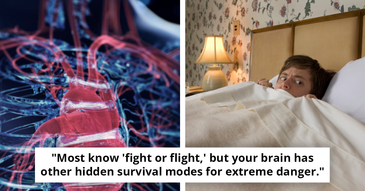 Discover 7 unusual body responses in life-threatening situations