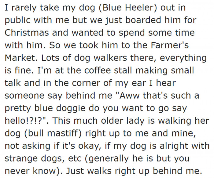 When he was at the farmer's market with his family, an old lady with her dog approached his dog.