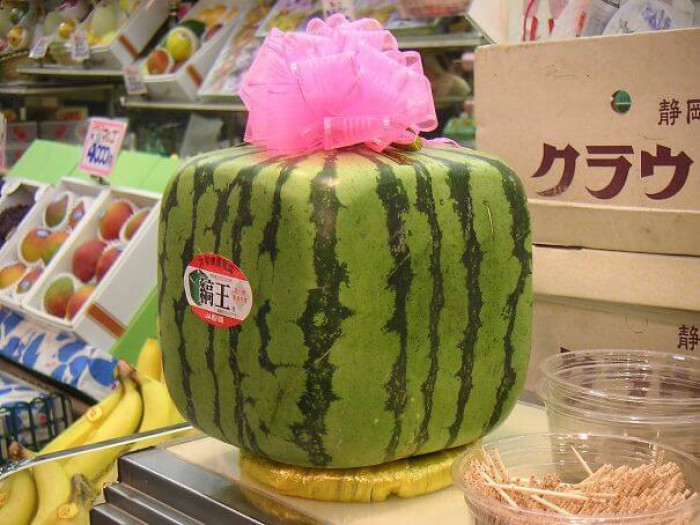 15. In Japan, they sell square watermelons to fit better in the refrigerator.