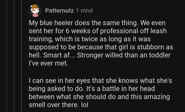 It's a constant battle in their heads that takes over.