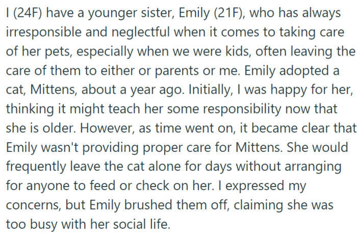 OP had concerns about her younger sister Emily's history of neglecting her pets. When Emily adopted a cat named Mittens, OP hoped she would become more responsible. However, that never happened.