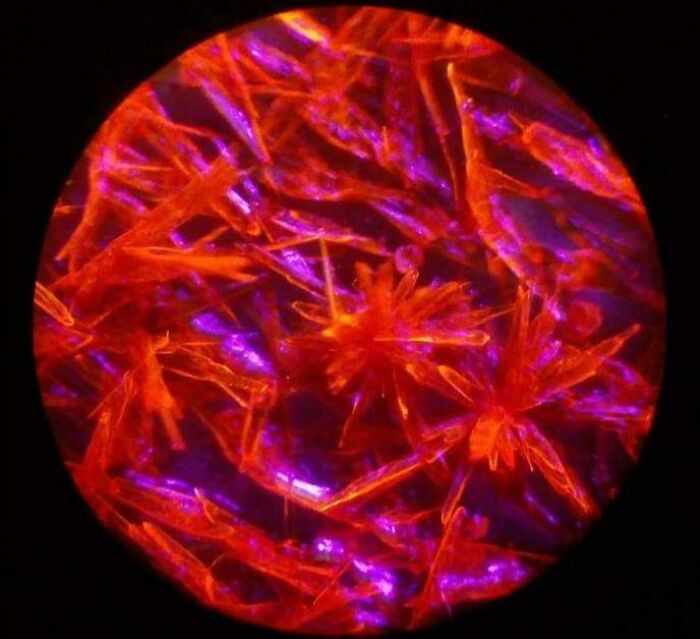 "Extremely Fluorescent Crystals Of Derivatized Dibenzalacetone Under Microscope"