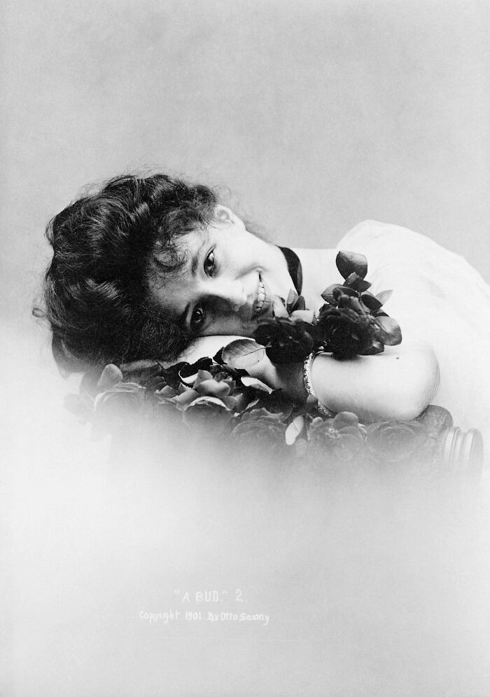 "Evelyn Nesbit By Otto Sarony Studio, A Bud, 1901"