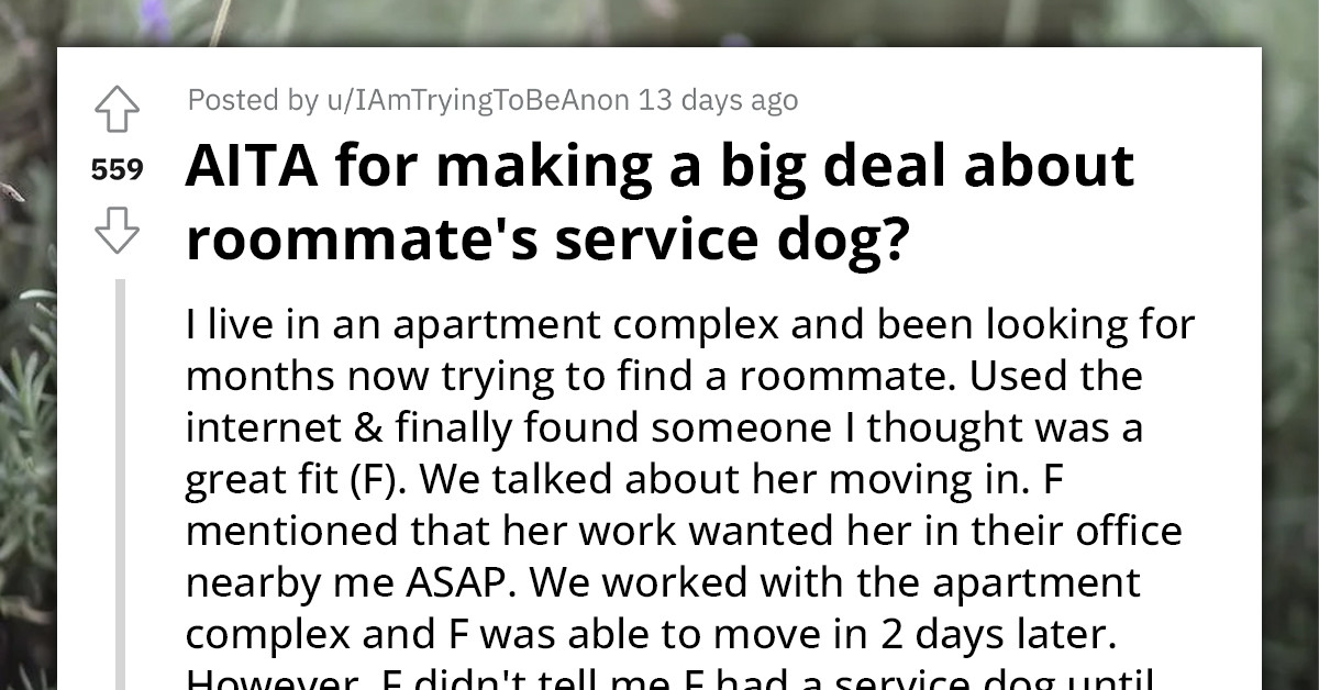 Reddit User Upset After Roommate's Service Dog Poops On The Living Room Floor