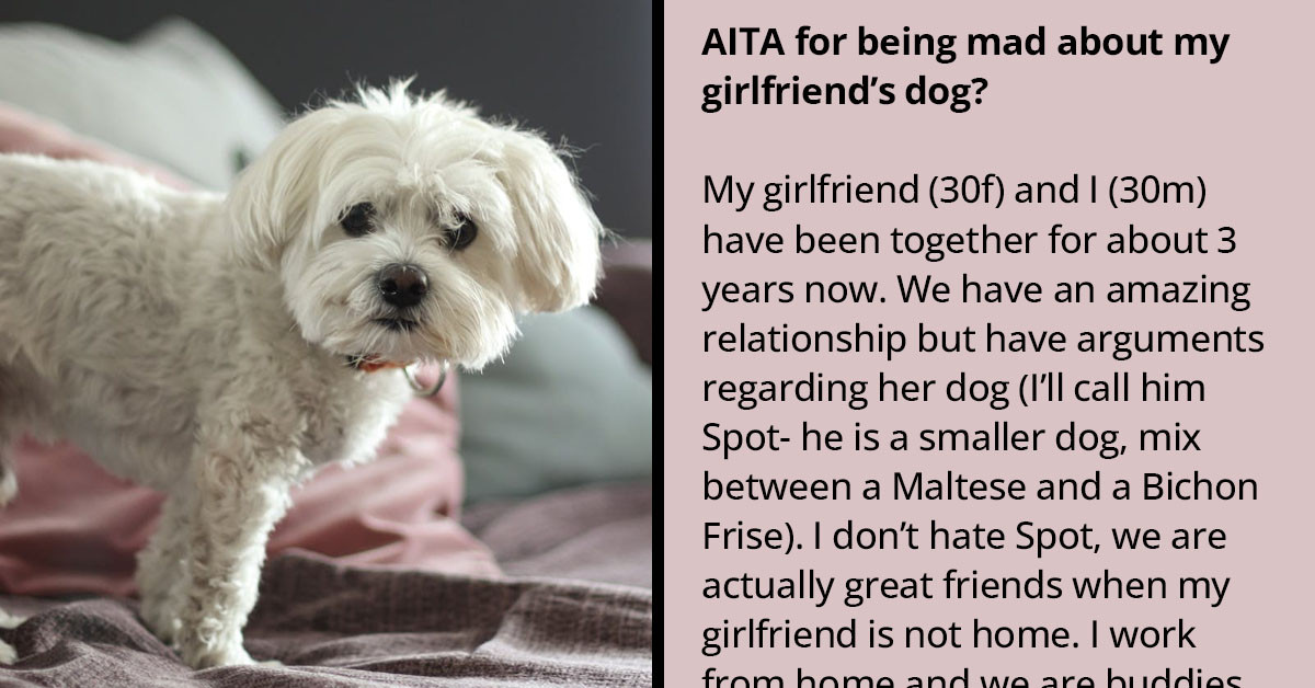 Woman Ignores Her BF's Request To Not Let Her Dog Sleep On The Bed With Them Even Though It Is Constantly Biting Him