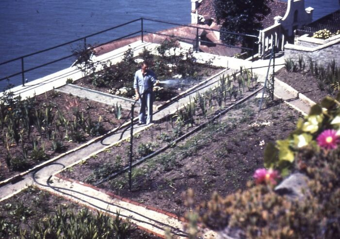 Alcatraz Gardens, 1950's