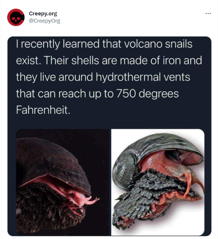 18. This snail goes hard