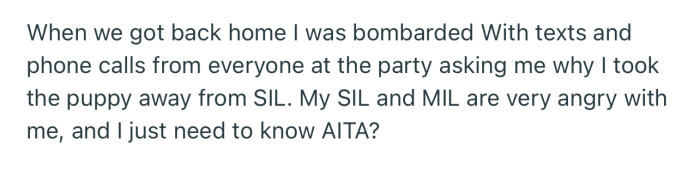 When OP Got Home, She Was Bombarded with Texts and Phone Calls About How She Crushed Her SIL’s Heart