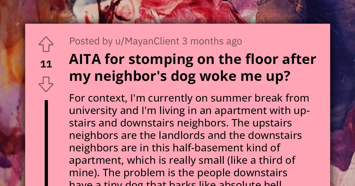 Redditor Stomps On Floor Loudly After Having Issues With Their Neighbor's Small Dog Barking A Lot And Waking Them Up