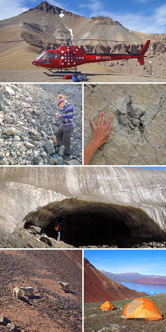 39. Album From My Work As A Field Geologist On The Remote East Coast Of Greenland With Mountains, Ice, And Polar Bears