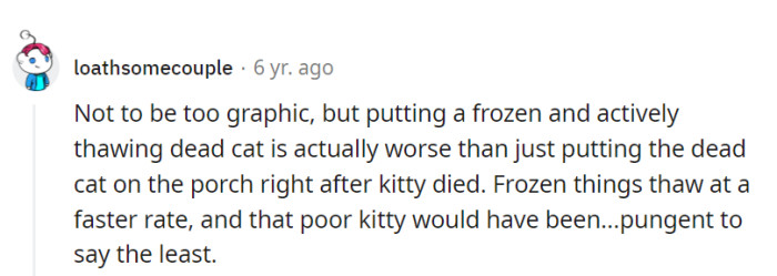 Poor, poor kitty, indeed!