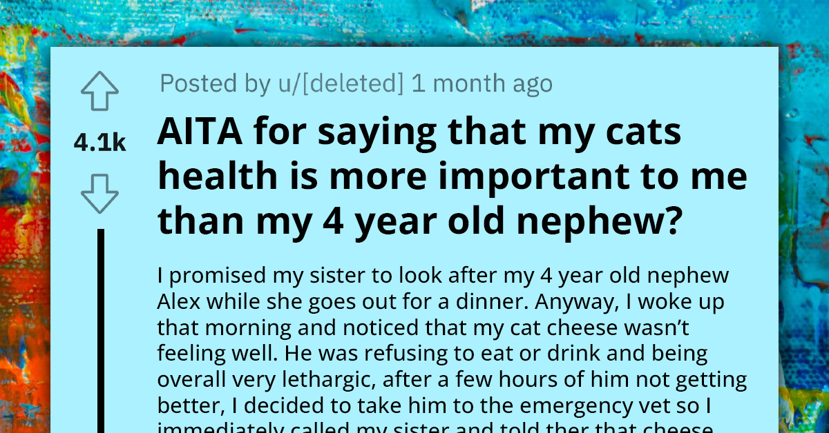 Redditor Asks If She's In The Wrong For Prioritizing Her Cat's Health Over Babysitting Her Nephew