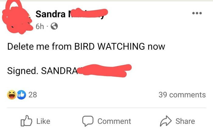 22. Sandra does NOT care for these feathered fools