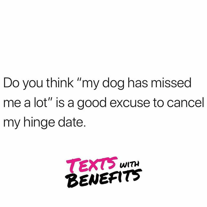 50. Your pet cones first