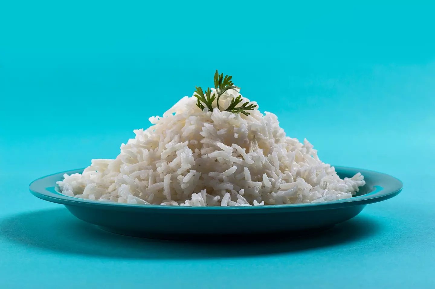Reheated rice