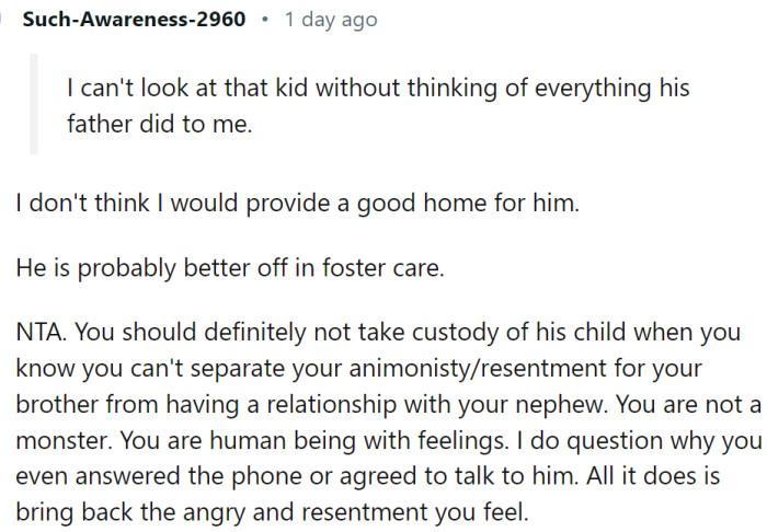 OP should not take custody of this child when he knows he can't turn down his animosity/resentment