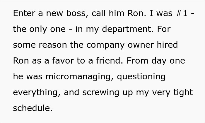 Now, here's where the story begins: a new boss was hired at the company as a favor to a friend from the higher-ups. He micromanaged everything right from the very start of his tenure and questioned everything the employees did.