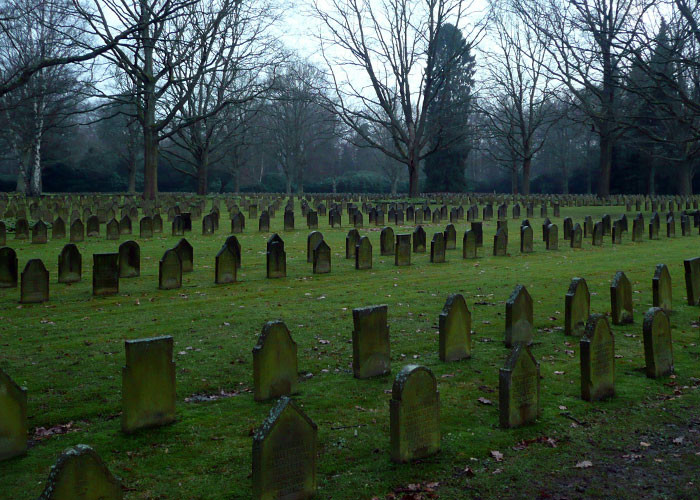 1. Well, you wanted to know...