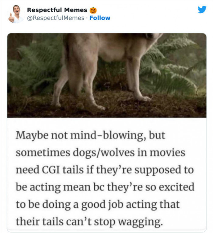 8. The Goodest Acting Boys