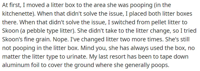 In an effort to resolve the issue of the cat's refusal to defecate in the litter box, OP attempted various strategies.