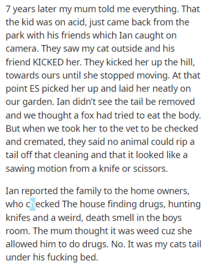 The camera footage revealed the truth: the teenager was the one who killed their cat