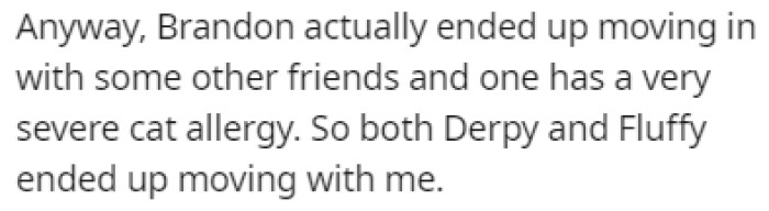 In a surprising twist, OP ended up taking both of the cats with him